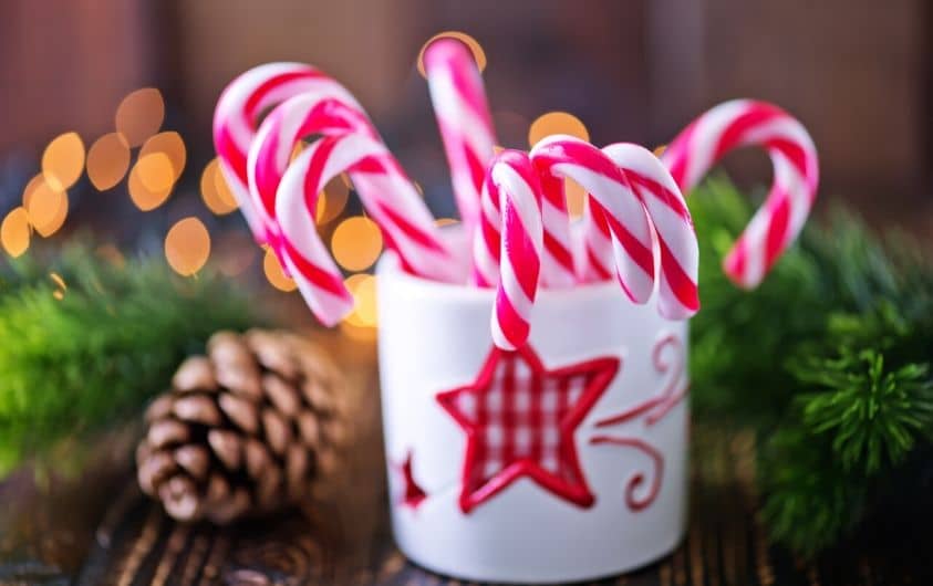Fun Christmas Traditions of making candy canes