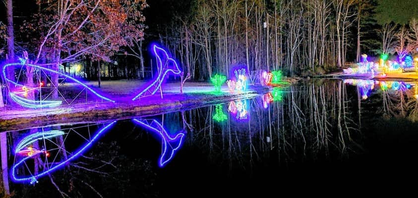 Whale by pond Christmas lights