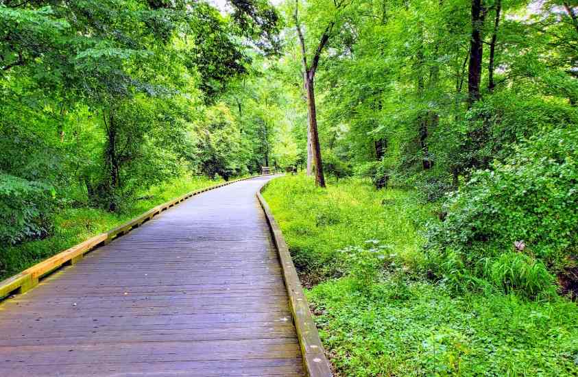 Neuse River Walking Trail Raleigh, NC