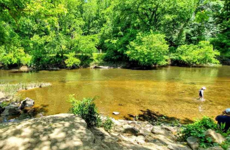 Neuse River Trail Everything You - Neuse River Trail Canoe Launch 768x501 