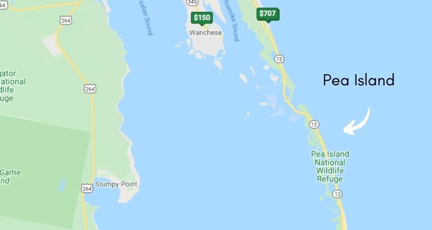 Pea Island Places to Stay North Carolina