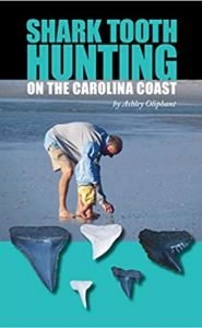 How To Hunt For Shark Teeth In NC book