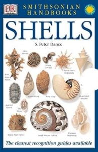 How To Identify Seashells Book