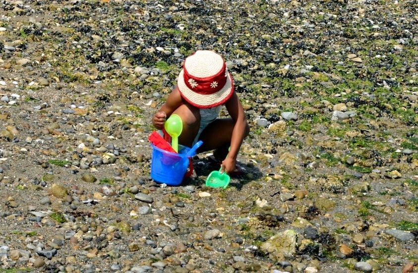 How to find seashells on the beach by digging in the sand