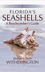 Florida Seashell Identification Book