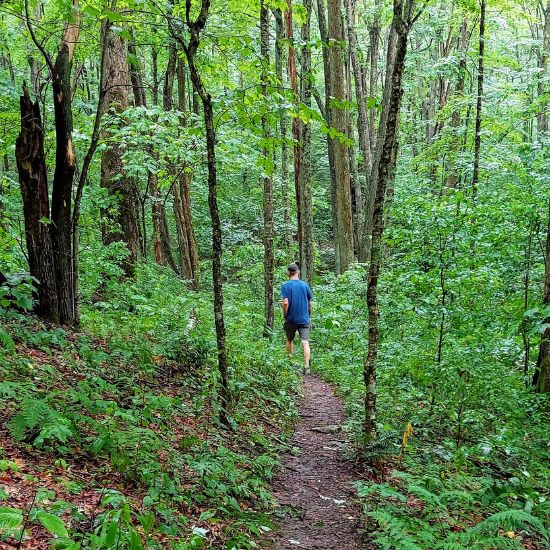 Hidden Valley Lake Hiking Trail things to do in Abingdon, VA