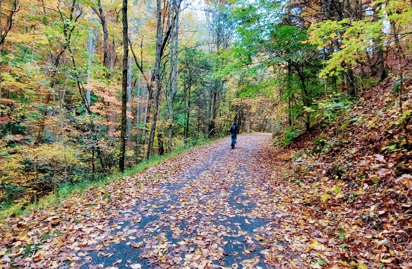 Virginia Creeper Trail in the fall in Abingdon, VA