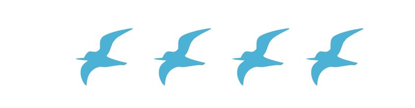 Birds flying Graphic