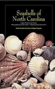 Seashells of North Carolina book.