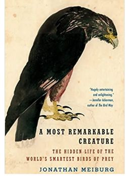 A book about Caracaras titled, A Most Remarkable Creature: The Hidden Life of the World's Smartest Birds of Prey