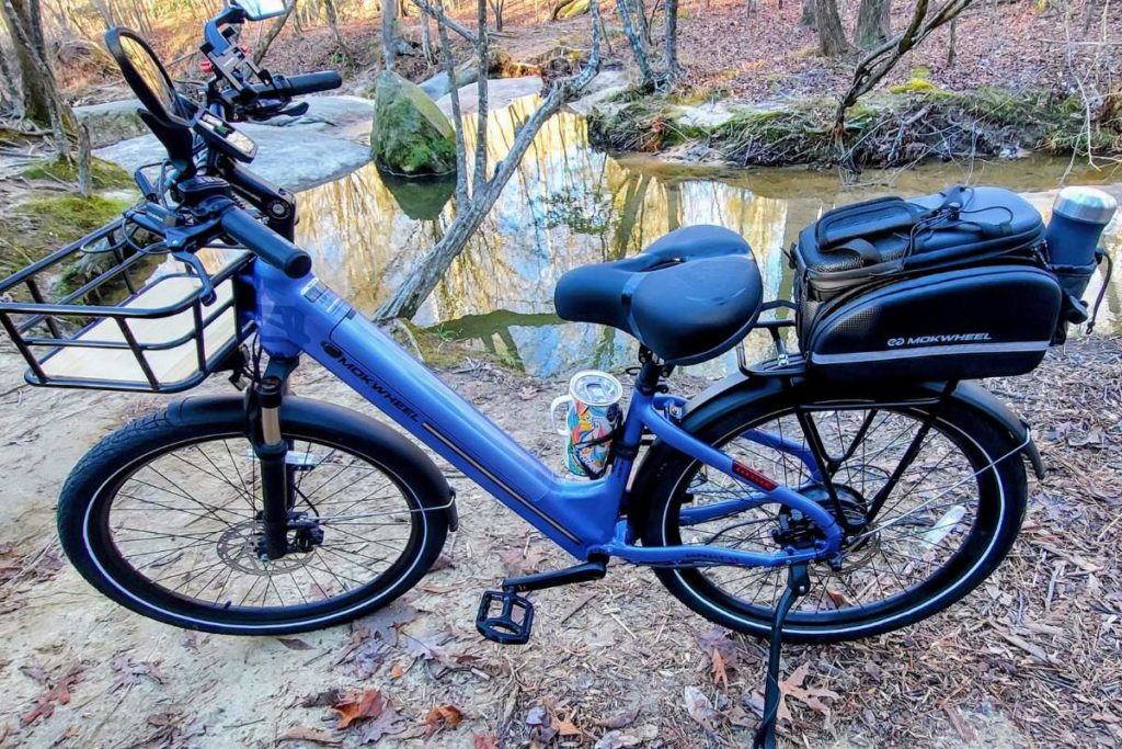 Review of the Mokwheel Asphalt Ebike