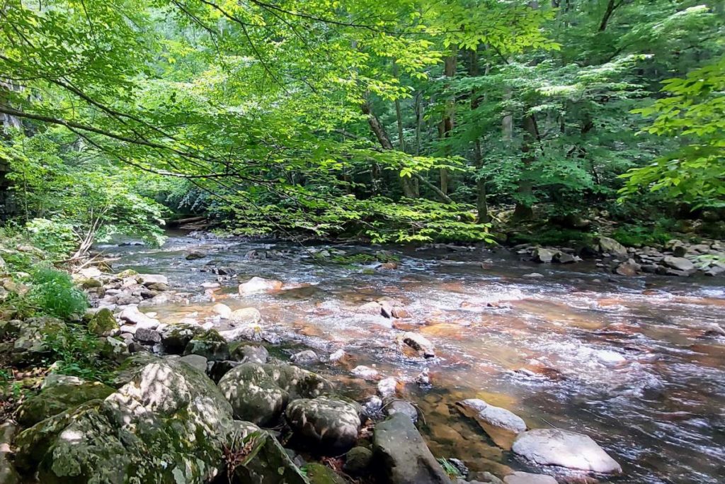 Beaverdam Creek near Abingdon, Virginia