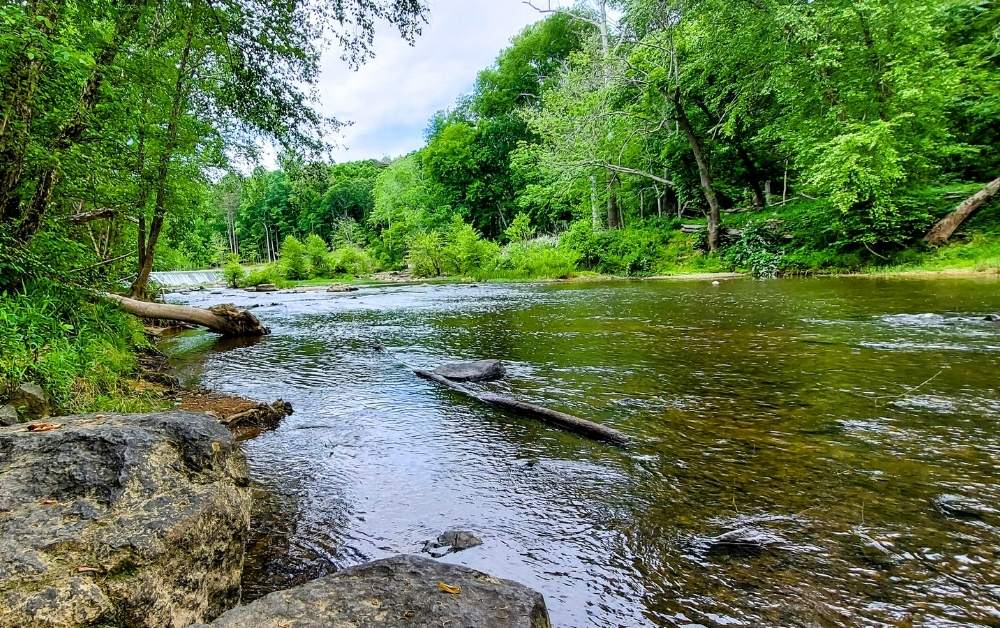 Eno River in Durham, NC that inspired Stranger Things
