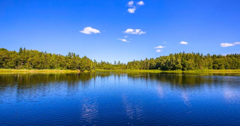 Lake Jordan in Durham, NC.