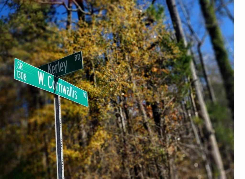 Mirkwood from Stranger Things at the Corner or Kerley and Cornwallis in Durham, North Carolina.